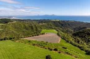 The Highlands - Lot 8